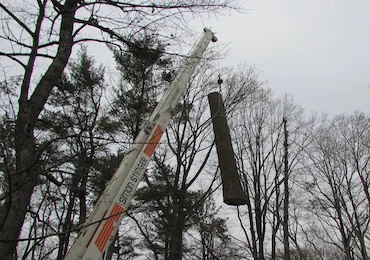 Crane lifting a large tree section