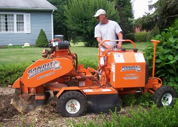 Stump grinder machine in use