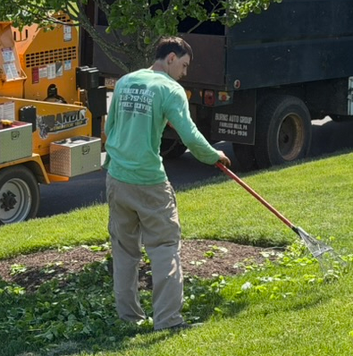 O'Brien Tree Care crew cleaning up after tree removal